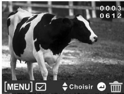 HITACHI DZHV582E - Supprimer - 4