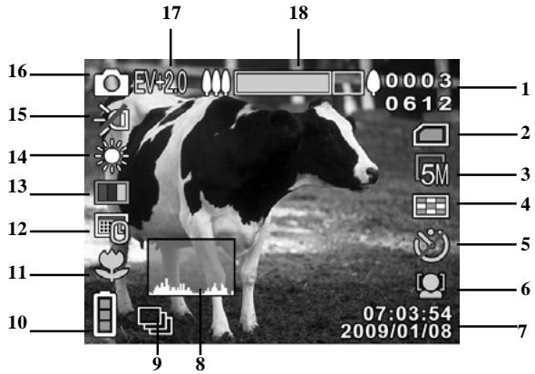 HITACHI DZHV582E - Icônes du mode photo - 1