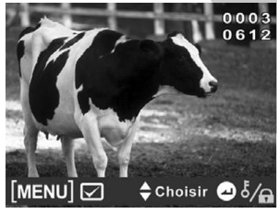 HITACHI DZHV582E - Protégier - 4