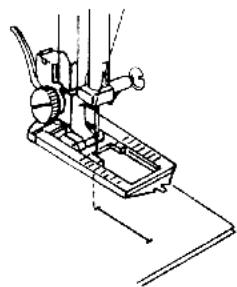 QUIGG MD 11836 - CONSEIL - 2