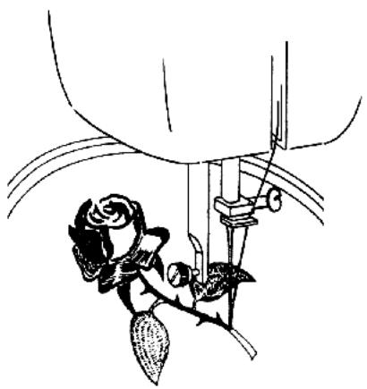 QUIGG MD 11836 - CONSEIL - 1