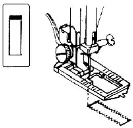 QUIGG 50029176 - Conseil - 6