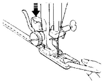 QUIGG 50029176 - Ourler - 4