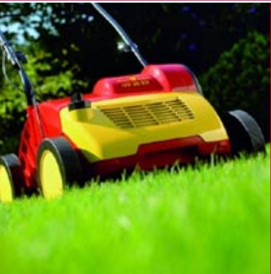 BRIGGS & STRATTON BRIGGS & STRATTON 2.48 XC - WOLF Garten - 1