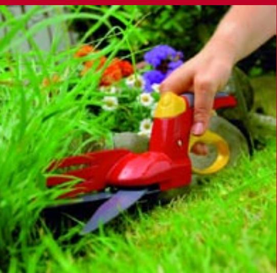 BRIGGS & STRATTON BRIGGS & STRATTON 2.48 XC - WOLF Garten - 8