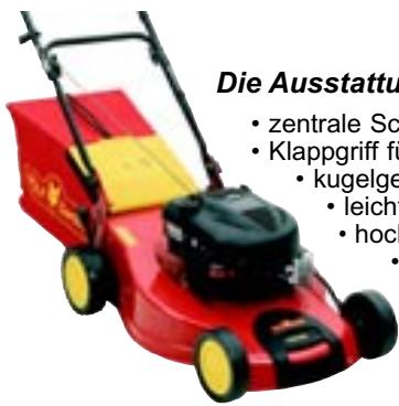 BRIGGS & STRATTON BRIGGS & STRATTON 2.53 BA - Herzlichen Glückwunsch zum Kauf Ihres WOLF-Produkts - 3
