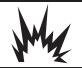 BRIGGS & STRATTON BRIGGS & STRATTON ELITE 7000 WATT - WARNING - 2