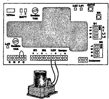 AVIDSEN XP500 - IMPORTANT - 3