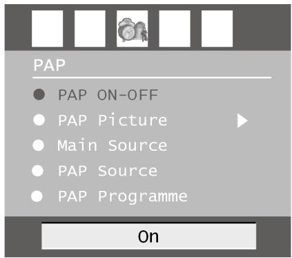 MEDION LCD TV MD 30325 - The PAP menu - 2