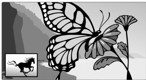 MEDION LIFE E13014 MD 20153 - "Billede i billed" (PIP-)funktion - 1