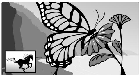 MEDION LIFE E13014 MD 20153 - Fonction "Incrustation d'image" (PIP) - 1