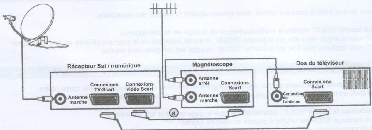 WELLTECH 40621 - Au sujet du raccordement SCART - 2