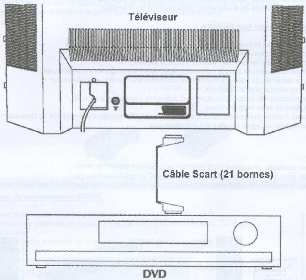 WELLTECH 40621 - Au sujet du raccordement SCART - 1