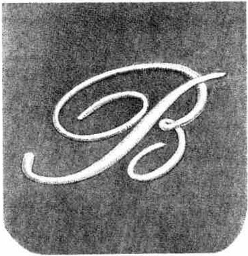 PFAFF 1222, 1222E - Monogram embroidery - 2