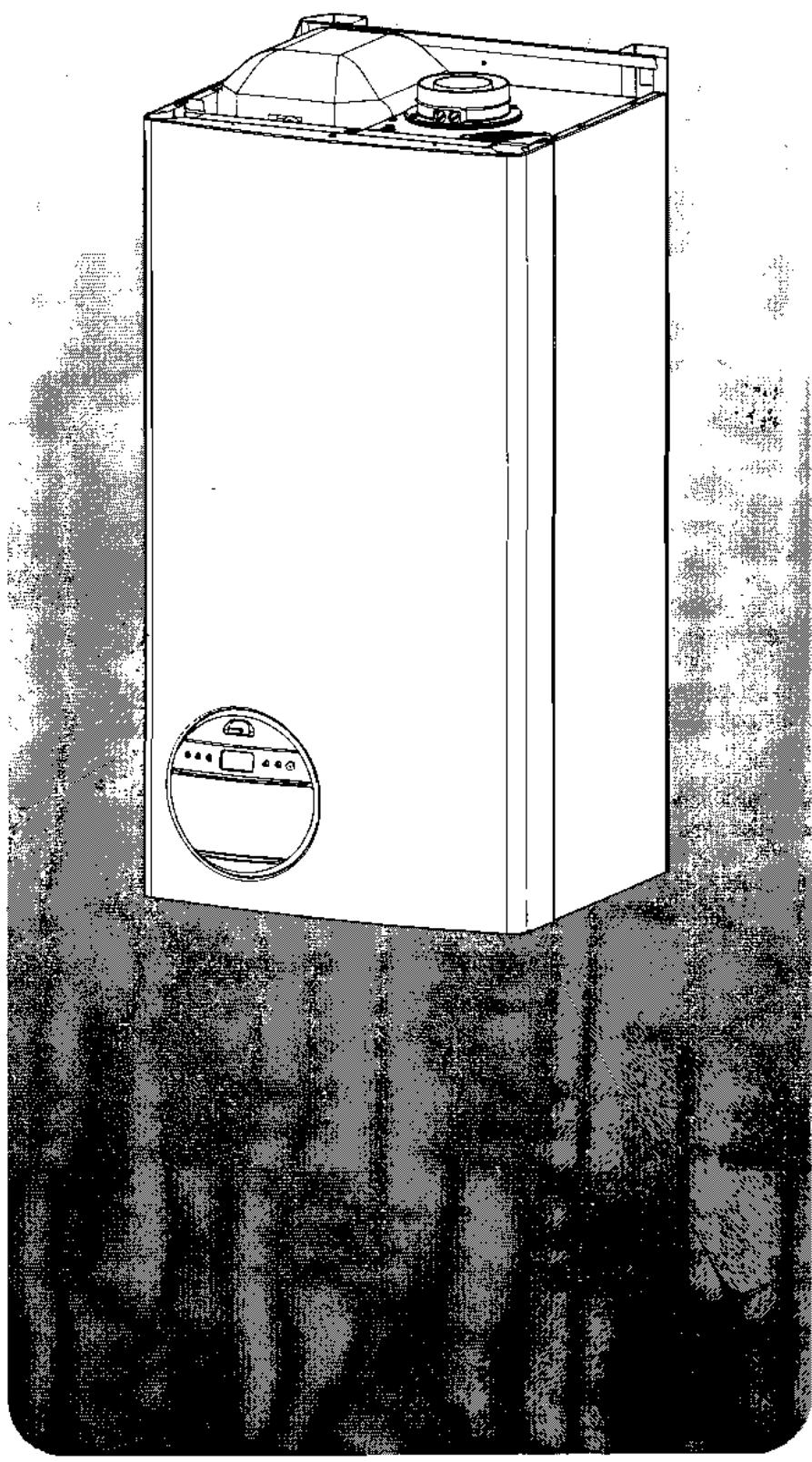 CHAFFOTEAUX & MAURY CHAFFOTEAUX & MAURY AMPHORA DELTA 28 FF - Manuel de l'utilisateur - 1
