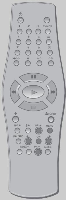 DAEWOO V2041N - Noms des chaînes - 2