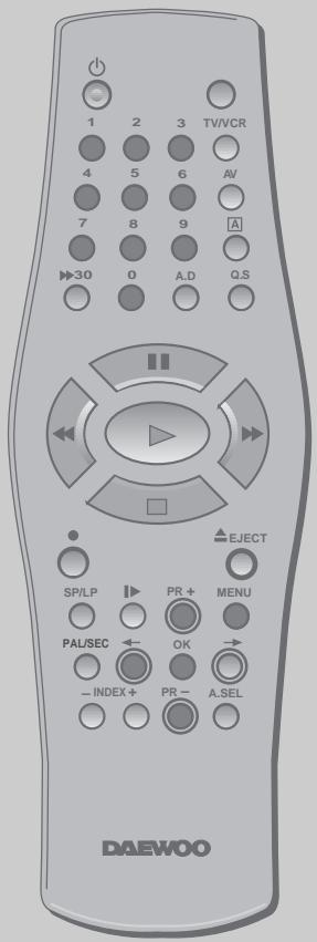 DAEWOO VQ251 - Noms de chaînes - 9