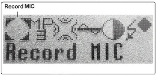 SUPPORTPLUS LECTEUR MP3 SP-MP3D-256 - Record MIC (enregistrement vocal) - 4