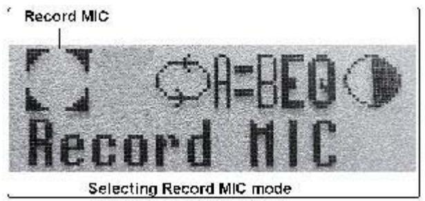 SUPPORTPLUS LECTEUR MP3 SP-MP3D-256 - - Record MIC (enregistrement vocal) - 1