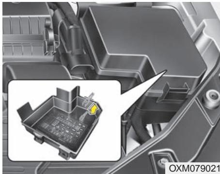 KIA SORENTO 2012 - Remplacer un fusible sur le panneau intérieur - 1
