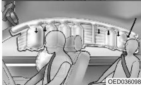 KIA CEED 2009 - Avertissement - 2