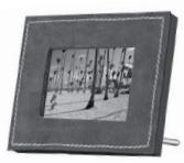 PARROT PHOTOVIEWER - Parrot PHOTO VIEWER - 14