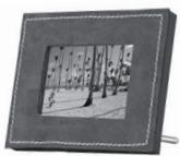 PARROT PHOTOVIEWER - Parrot PHOTO VIEWER - 10