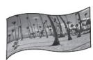 PARROT PHOTOVIEWER - Sommaire - 12