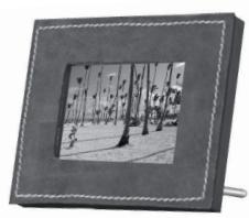 PARROT PHOTOVIEWER - 3