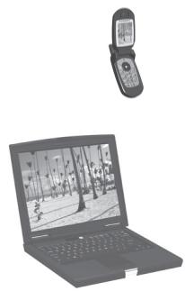 PARROT PHOTOVIEWER - 2