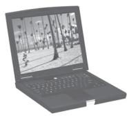 PARROT PHOTOVIEWER - Parrot PHOTO VIEWER - 11