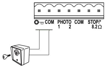 CHAMBERLAIN SCS200 - TASTER / SCHLUSSELSCHALTER (OPTIONAL) - 1