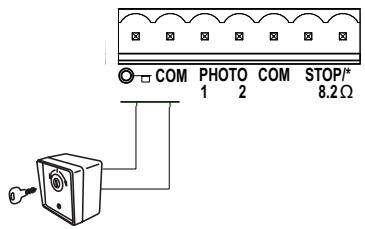 CHAMBERLAIN SCS200 - KEY SWITCH (OPTIONAL) - 1