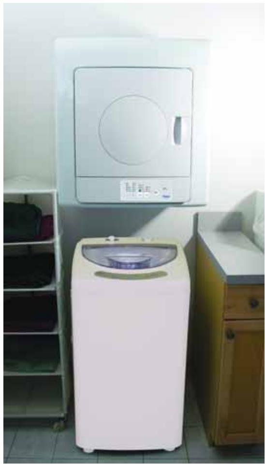 HAIER HLP21N - Secheuse - 2