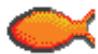 HUMMINBIRD 343 - Identification de poisson - 1