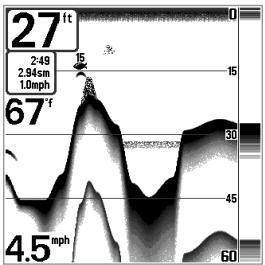 HUMMINBIRD 343 - Affichage du fond - 2