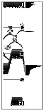 HUMMINBIRD 797C2 - Fenêtre sonar en temps réel - 2