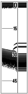 HUMMINBIRD GPS 797C - Fenêtre sonar en temps réel - 1