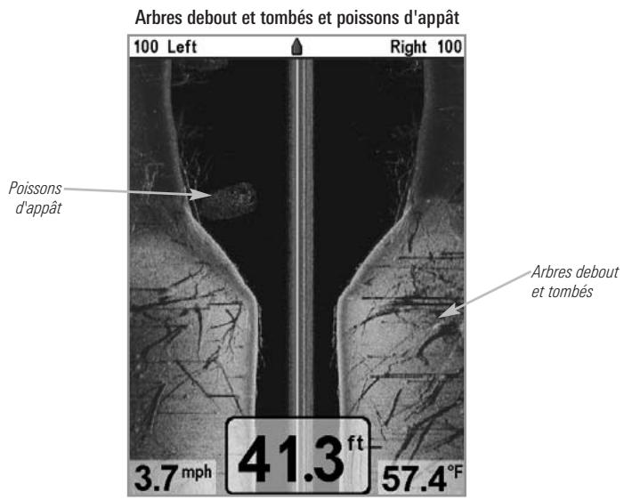 HUMMINBIRD GPS 797C - Conseils pour obtenir une meilleure imagerie latérale - 1