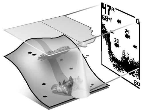 HUMMINBIRD PIRANHAMAX20 - Technologie du sonar piranhamax - 1