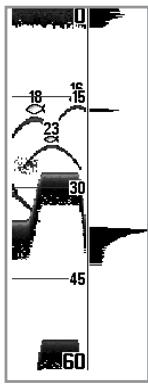 HUMMINBIRD GPS 787C - Fenêtre sonar en temps réel - 2