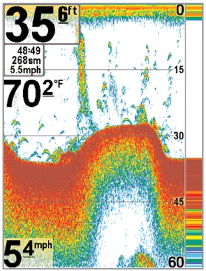 HUMMINBIRD GPS 787CI - Représentation du fond - 1