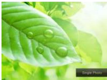 TELEFUNKEN DPF 10933 - Les photos - 2