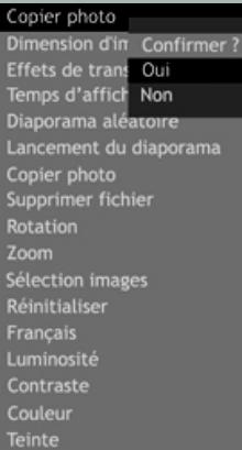 Copier photo Dimension d'inv Confirmer ? Effets de trans Oui Temps d'affich Non Diaporama aléatoire Lancement du diaporama Copier photo Supprimer fichier Rotation Zoom Sélection images Réinitialiser Français Luminosité Contraste Couleur Teinte