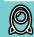 NINTENDO PIKMIN - VIEWING ICONS ON THE AREA MAP - 2