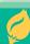 NINTENDO PIKMIN - THE 30-DAY TIME LIMIT - 2
