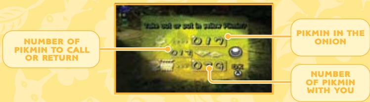 NINTENDO PIKMIN - ONIONS / RETURNING - 1