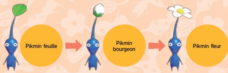 NINTENDO PIKMIN - Maturation des PIKMIN - 1