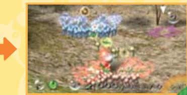 NINTENDO PIKMIN - Diviser les PIKMIN - 2