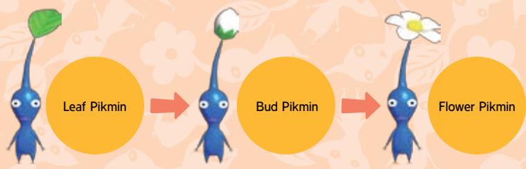 NINTENDO PIKMIN - OW PIKMIN GROW - 1